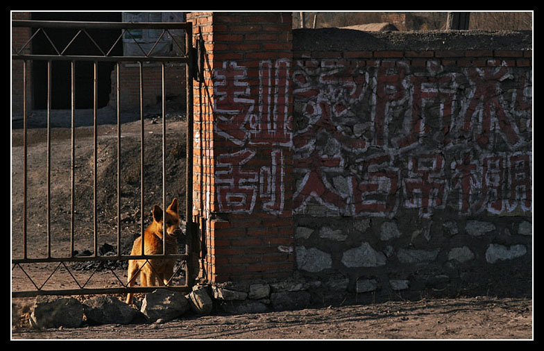 chi0807020