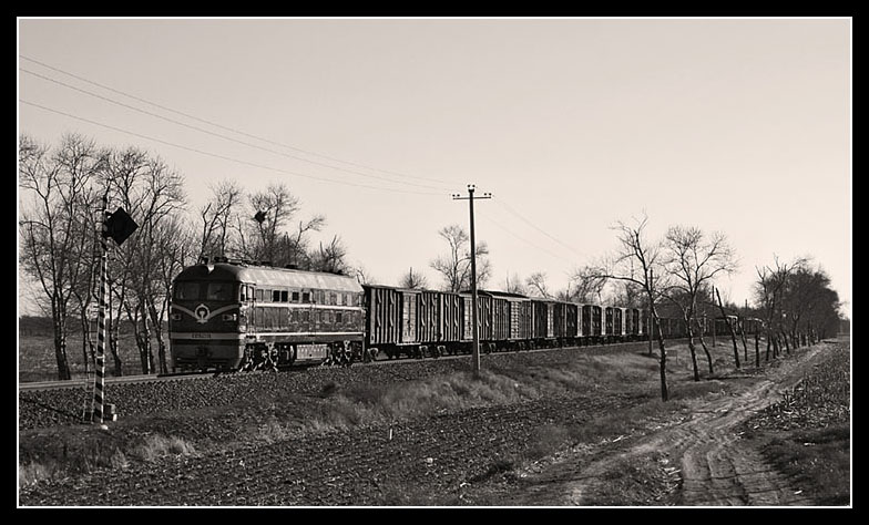 chi0810050